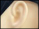 耳の画像